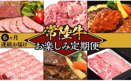 【 定期便 】【 全6回 】 常陸牛 お楽しみ定期便 （ 6ヶ月連続でお届け ）【 常陸牛 和牛 牛肉 定期便 ハンバーグ  国産 贅沢  6か月 6ヶ月 牛 肉 常陸 】