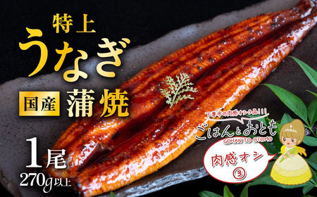 【 先行予約 】【 12月出荷分 】 ” ごはん と おとも ” 【 数量限定 】 令和7年産 新米 茨城県産 ミルキークイーン 12kg ( 5kg × 2袋 + 2kg × 1袋 ) + 肉感オシ3品( ①ハンバーグ 6個セット 1.2kg、②ハム・ウインナー等 690g 4種、③国産うなぎ蒲焼 1尾 特上 270g以上 )【 令和7年産 お米 精米 白米 】