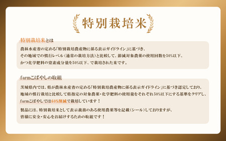 ミルキークイーン 白米 2kg 2月出荷 ミルキークイーン