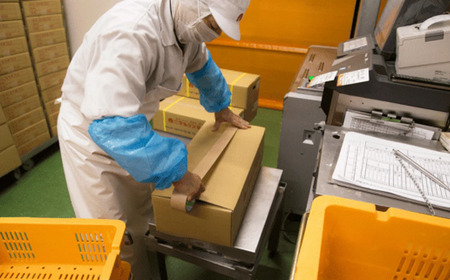 豚肉 国産 味噌漬け 西京漬け 1.5kg 食べ比べ 冷凍 ロース こま切れ