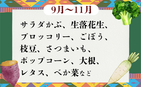野菜 7袋 訳あり 2ヶ月 定期便 詰め合わせ お任せ 旬 野菜