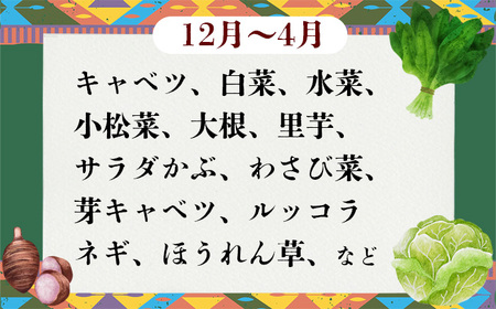 野菜 9袋 訳あり 2ヶ月 定期便 詰め合わせ お任せ 旬 野菜