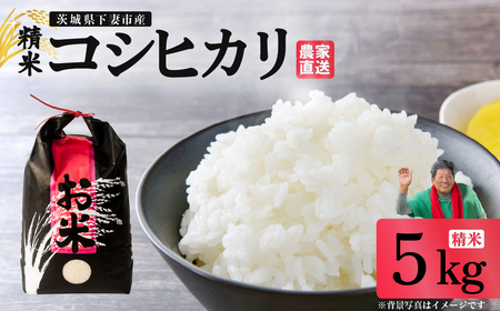 精米 5kg 令和7年産 コシヒカリ 茨城県 下妻市産