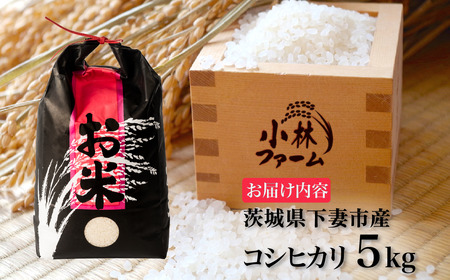 精米 5kg 令和7年産 コシヒカリ 茨城県 下妻市産