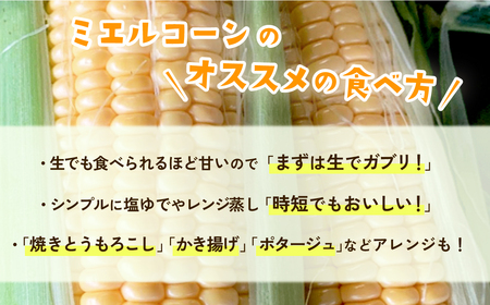 とうもろこし 先行予約 R8 下妻産 朝採り ミエルコーン 約6kg