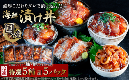 海鮮丼 マグロ 海鮮漬け丼 5種セット 5パック 海鮮丼