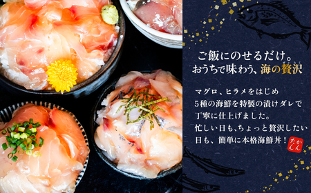 海鮮丼 5種 計10P マグロ 海鮮丼