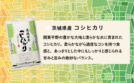 【令和7年産】精米 コシヒカリ 10kg 2月発送 白米 10kg(5kg×2袋)