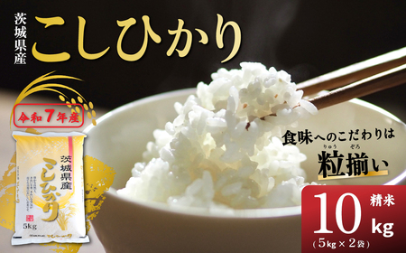 米 コシヒカリ 10kg 精米 茨城県下妻市産