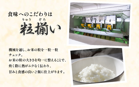 玄米食べ比べ 計10kg コシヒカリ にじのきらめき 令和7年産