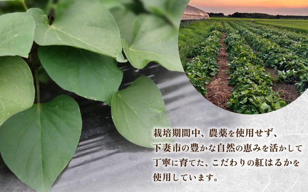 訳あり 干し芋 紅はるか 切り落とし 約400g