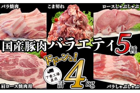 国産豚肉バラエティ5種セット4kg（小分け真空包装）【下妻工場直送】【 豚肉 国産 豚肉 小分け 豚肉 バラエティ セット 真空 ストック 大量 豚肉 】