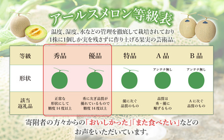 茨城県産アールスメロン約2.5kg（2個）【2024年9月上旬～10月下旬ごろ発送予定】【 メロン 茨城 メロン アールス メロン 果物 メロン ギフト メロン フルーツメロン 旬 茨城県産メロン 贈答メロン 高級メロン 王様 予約 優 等級 セット 人気 おすすめ 贈り物 プレゼント マスクメロン ムスク マスク 】