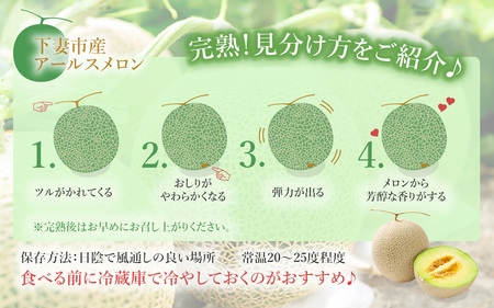 茨城県産アールスメロン約2.5kg（2個）【2024年9月上旬～10月下旬ごろ発送予定】【 メロン 茨城 メロン アールス メロン 果物 メロン ギフト メロン フルーツメロン 旬 茨城県産メロン 贈答メロン 高級メロン 王様 予約 優 等級 セット 人気 おすすめ 贈り物 プレゼント マスクメロン ムスク マスク 】