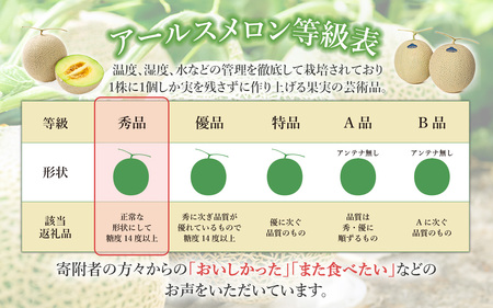 茨城県産アールスメロン【秀品】1個【2025年9月上旬～10月上旬ごろ発送予定】【 メロン ﾒﾛﾝ 茨城 アールス 果物 ギフト フルーツ 茨城県産メロン 高級メロン マスクメロン ムスク マスク メロン 】