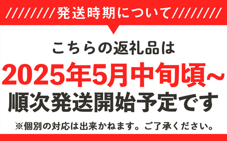 【先行予約】茨城県産タカミメロン約2kg（2個）【2025年5月中旬～6月下旬ごろ発送予定】【 メロン 茨城 タカミ 果物 ギフト フルーツメロン 旬 茨城県産メロン 贈答 高級 予約 優 等級 セット 人気メロン ﾒﾛﾝ 】