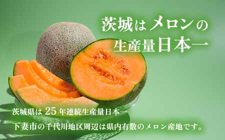 茨城県産タカミレッドメロン約2kg（2個）【2024年5月中旬～6月下旬ごろ発送予定】【メロン 茨城 メロン タカミ メロン 果物 メロン ギフト メロン 旬 レッド 赤肉 フルーツメロン 茨城県産メロン 贈答 高級 予約 優 等級 セット 人気メロン おすすめ】