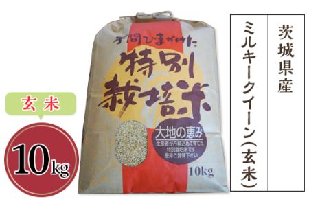 茨城県産ミルキークイーン（玄米）10kg【米 ミルキークイーン 米 茨城