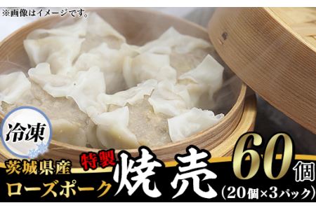 【 焼売 】 たっぷり60個！ 茨城県産ローズポークのジューシー特製焼売 60個 ( 冷凍 20個 × 3パック ) 【 シュウマイ 焼売 】