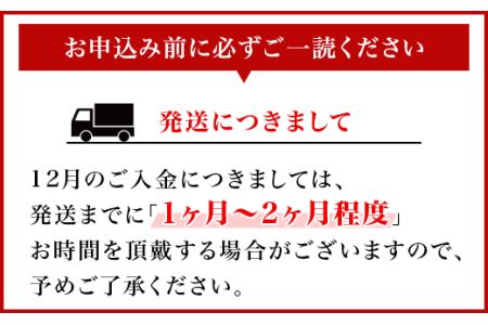 【 常陸牛 】 絶品2種セット （ ハンバーグ ・ ビーフシチュー 各3セット ）【 常陸牛 黒毛和牛 和牛 牛肉 ハンバーグ ﾊﾝﾊﾞｰｸﾞ 手ごねハンバーグ ビーフシチュー シチュー ﾋﾞｰﾌｼﾁｭｰ 家族 茨城県 ﾊﾝﾊﾞｰｸﾞ ﾋﾞｰﾌｼﾁｭｰ 】