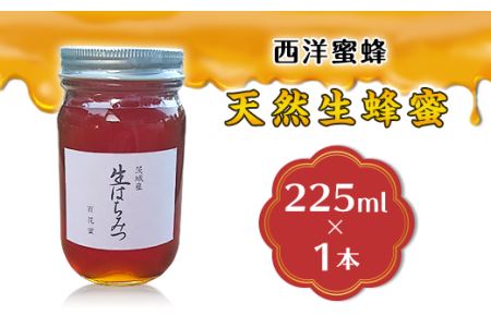 天然生蜂蜜（西洋蜜蜂）【 ﾊﾁﾐﾂ 天然はちみつ 生はちみつ 人気はちみつ 茨城はちみつ 下妻はちみつ ﾊﾁﾐﾂ 】