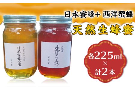 天然生蜂蜜（日本蜜蜂と西洋蜜蜂）【 ﾊﾁﾐﾂ 天然はちみつ 生はちみつ 人気はちみつ 茨城はちみつ 下妻はちみつ ﾊﾁﾐﾂ 】