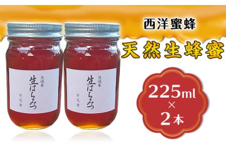 天然生蜂蜜（西洋蜜蜂）2本セット【 ﾊﾁﾐﾂ 天然はちみつ 生はちみつ 人気はちみつ 茨城はちみつ 下妻はちみつ ﾊﾁﾐﾂ 】