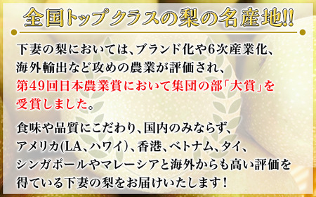 【先行予約】茨城県産「幸水梨」約5kg【2024年7月下旬～8月上旬にかけて発送予定】【梨 なし 梨 ナシ 梨 茨城県梨 梨 下妻梨 梨 人気梨 梨 果物梨 梨 フルーツ梨 梨 果物 梨 フルーツ 梨】