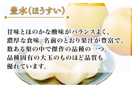 【先行予約】茨城県産「豊水梨」約5kg【2025年8月下旬～9月中旬にかけて発送予定】【梨 なし 梨 ナシ 梨 茨城県梨 梨 下妻梨 梨 人気梨 梨 果物梨 梨 フルーツ梨 梨 果物 梨 フルーツ 梨】