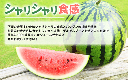 茨城県産大玉すいか2玉セット（約5～7kg/玉）【2024年6月上旬～7月上旬ごろ発送予定】【 スイカ 下妻スイカ 茨城県スイカ 人気スイカ すいか 西瓜 美味いスイカ おすすめすいか 茨城県産すいか 】