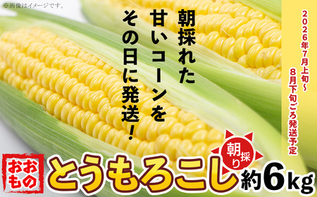 朝採りとうもろこし約6kg（おおもの）【先行予約：2024年7月上旬～8月下旬ころ順次発送予定】【 トウモロコシ 茨城とうもろこし 下妻とうもろこし 甘いとうもろこし 人気とうもろこし おすすめとうもろこし 】