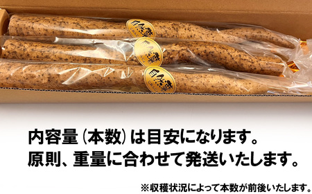 自然薯 約500g(カット済)【※重量（約500g）に合わせてお届け】【2024年12月～2025年3月ごろ発送予定】【 じねんじょ とろろ 山芋 自然薯下妻 自然薯茨城 自然薯とろろ 自然薯人気 自然薯カット 】