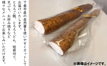 自然薯 約500g(カット済)【※重量（約500g）に合わせてお届け】【2024年12月～2025年3月ごろ発送予定】【 じねんじょ とろろ 山芋 自然薯下妻 自然薯茨城 自然薯とろろ 自然薯人気 自然薯カット 】