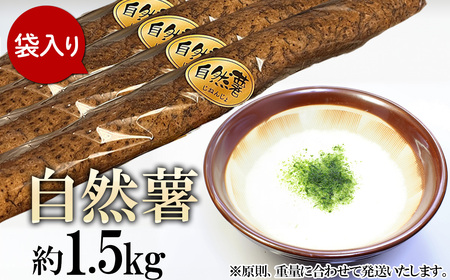 自然薯 約1.5kg ( カット済 ) ※重量（ 約1.5kg ）に合わせてお届け 2025年12月～2026年3月ごろ発送予定