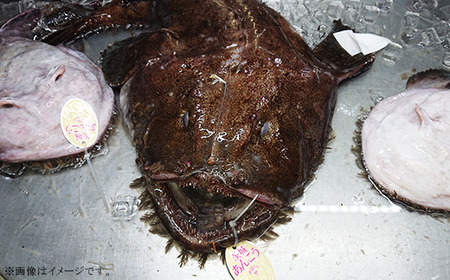 あんこう鍋 500g ＆ もつ鍋 500g 食べ比べ 海鮮 黒毛和牛