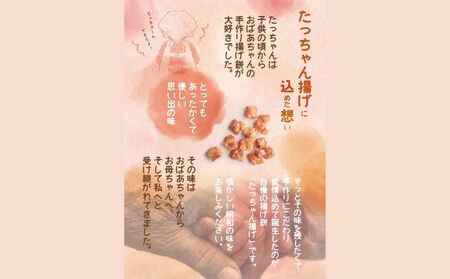 たっちゃん揚げ 大容量(6袋)のり塩
