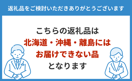 電動キックボード 公道 走行可能 KINTONE Model One S 増量バッテリーモデル(ホワイト） 白 免許不要 おりたたみ 特定小型原付