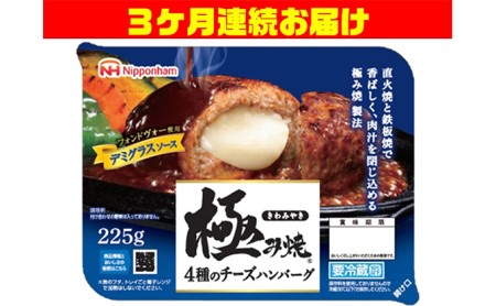 4種のチーズの極み焼きハンバーグステーキ3ケ月連続お届け 配達不可 沖縄 離島 茨城県常総市 ふるさと納税サイト ふるなび