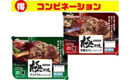 極み焼きハンバーグ和風おろしソース&デミグラスソースセット【配達不可:沖縄・離島】