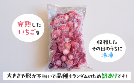 【訳あり】冷凍いちご 2kg