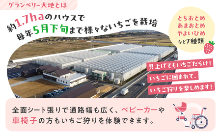 【訳あり】冷凍いちご 2kg