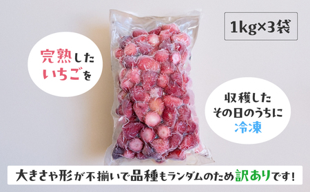 【訳あり】冷凍いちご 3kg (1kg×3袋)