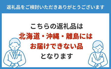 天然水晶 大ぶりピアス ※北海道・沖縄・離島への配送不可
