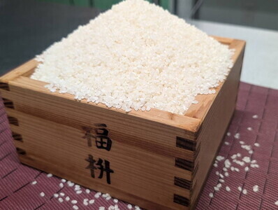 【ふるなびWEEK対象】【令和7年産】【無洗米】コシヒカリ10kg 茨城県常総市産 精米｜米 お米 白米 ご飯 コメ こめ こしひかり FN-Limited-PR