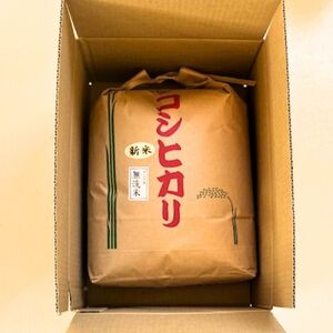 【ふるなびWEEK対象】【令和7年産】【無洗米】コシヒカリ10kg 茨城県常総市産 精米｜米 お米 白米 ご飯 コメ こめ こしひかり FN-Limited-PR