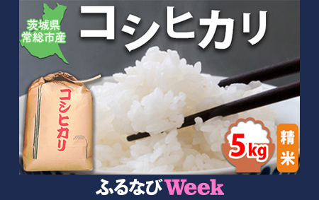 【ふるなびWEEK対象】【令和7年産】【精米】コシヒカリ5kg｜茨城県 常総市産 精米 米 お米 白米 ご飯 コメ こめ こしひかり FN-Limited-PR
