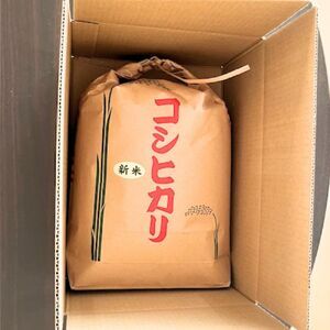 【ふるなびWEEK対象】【令和7年産】【精米】コシヒカリ5kg｜茨城県 常総市産 精米 米 お米 白米 ご飯 コメ こめ こしひかり FN-Limited-PR