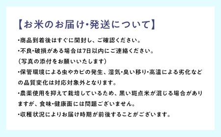 【令和7年産】 無洗米 コシヒカリ5kg 茨城県常総市産