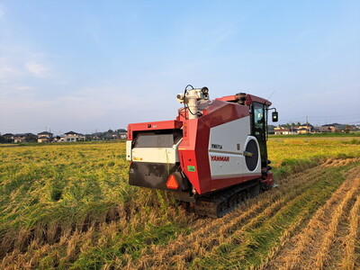 令和7年産 コシヒカリ5kg 精米 常総市産◇