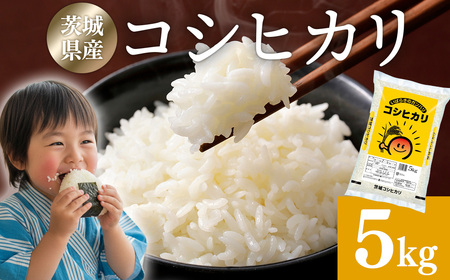 【発送月が選べる】米 5kg 新米 令和7年産 茨城県産 コシヒカリ ｜ 一等米 精米 人気 発送月 選べる 白米 お米 白米 こしひかり コシヒカリ5kg コメ こめ ブランド米 R7年産 茨城県 常総市 茨城県常総市産 年末年始 お中元 お歳暮 内祝い 快気祝い